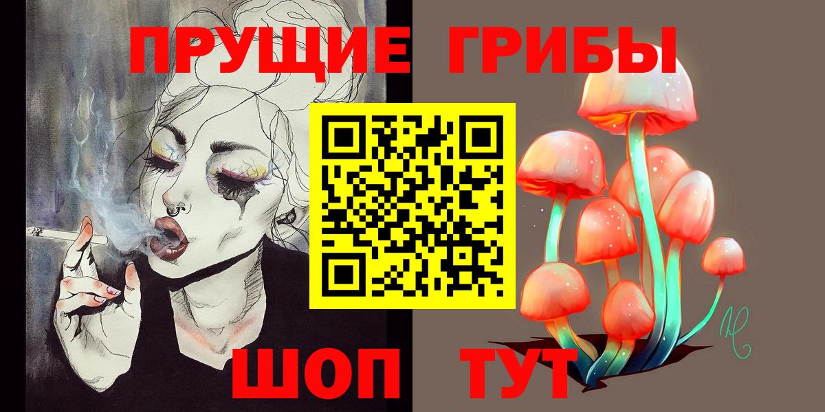 наркотики  Галлюциногенные грибы Psilocybe  Вход с VPN  Галлюциногенные грибы Psilocybe  Семилуки 