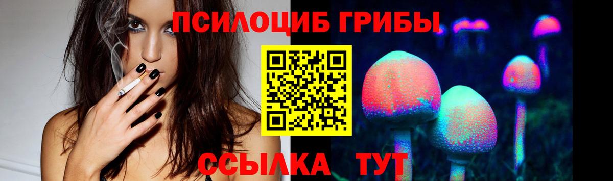 Псилоцибиновые грибы GOLDEN TEACHER Семилуки